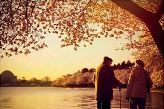 当你老了_我真希望_这句佛号是念给你的…… 当你老了_我真希望_这句佛号是念给你的……