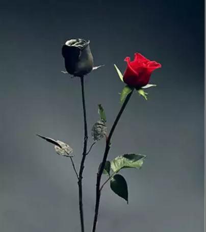 Ů��ǰ�������������_ת����ª���˽�ͷ�Ĵ�����