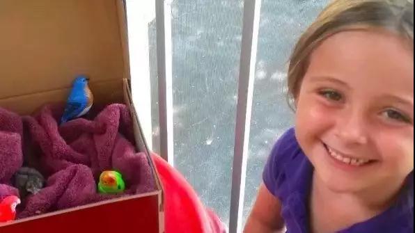 �����ı���������ȵ�һֻ�񣬻����󾹳�Ϊ���ġ��ػ��񡱡���