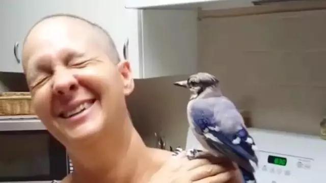 �����ı���������ȵ�һֻ�񣬻����󾹳�Ϊ���ġ��ػ��񡱡���