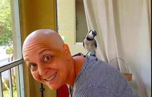 �����ı���������ȵ�һֻ�񣬻����󾹳�Ϊ���ġ��ػ��񡱡���