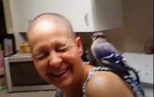 �����ı���������ȵ�һֻ�񣬻����󾹳�Ϊ���ġ��ػ��񡱡���