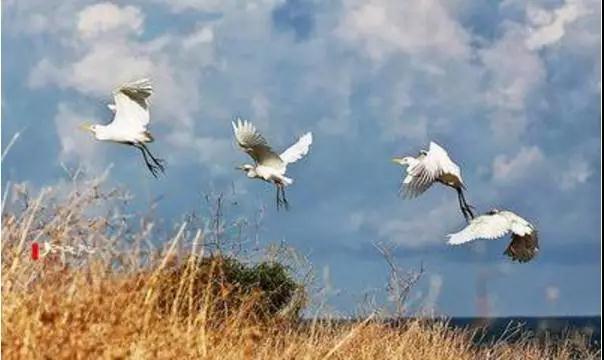 这样修行是绕远路了! 这样修行是绕远路了!