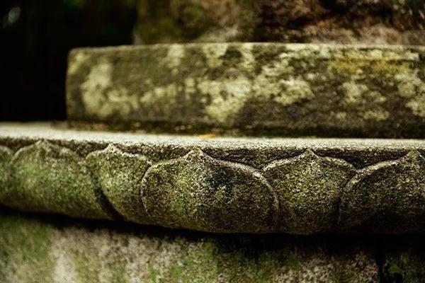 ����������Ը������Ҫȥ�����