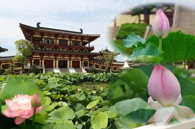 临终接引时,阿弥陀佛现的是什么相? 临终接引时,阿弥陀佛现的是什么相?