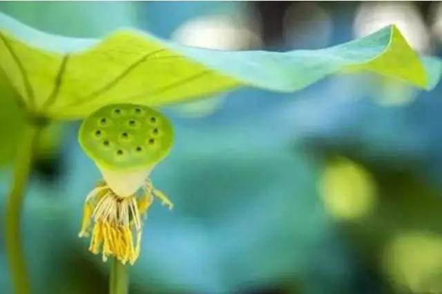 ���Ծ�����������֮��