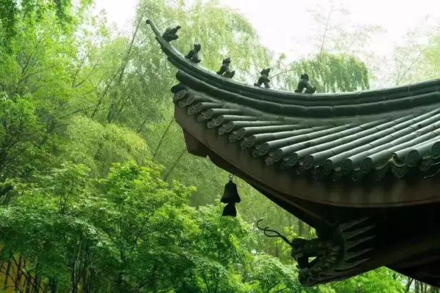 爱情坎坷?婚姻不幸?“我执”是元凶! 爱情坎坷?婚姻不幸?“我执”是元凶!