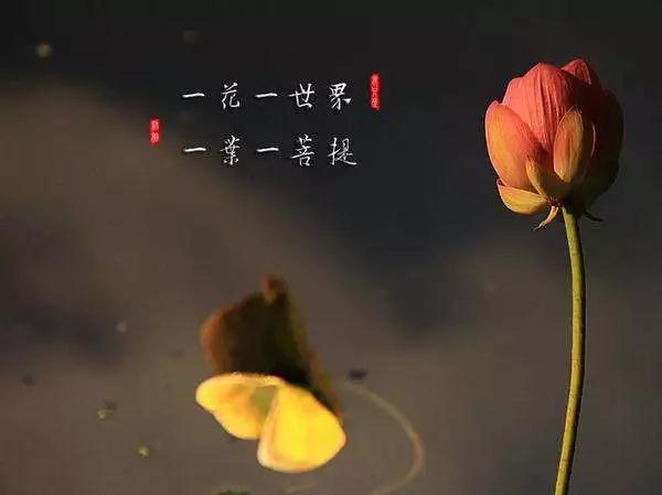 爱情坎坷?婚姻不幸?“我执”是元凶! 爱情坎坷?婚姻不幸?“我执”是元凶!