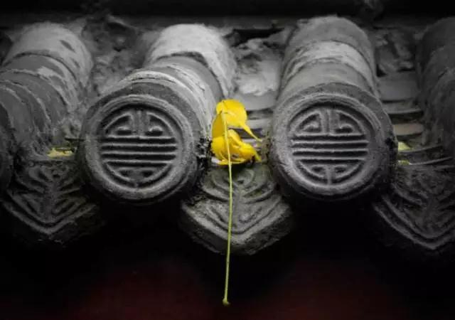 爱情坎坷?婚姻不幸?“我执”是元凶! 爱情坎坷?婚姻不幸?“我执”是元凶!