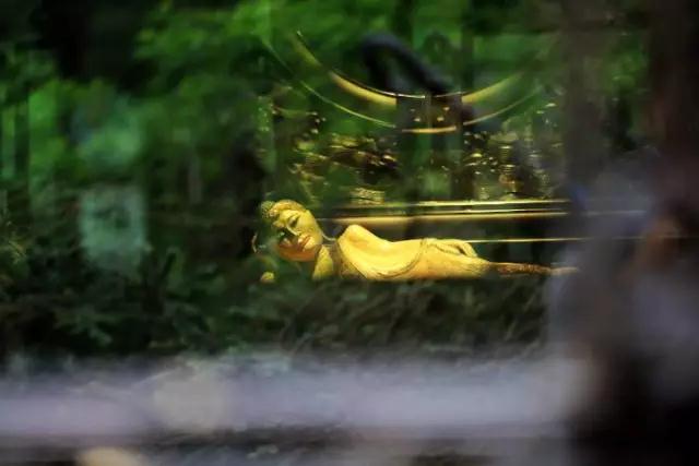 爱情坎坷?婚姻不幸?“我执”是元凶! 爱情坎坷?婚姻不幸?“我执”是元凶!