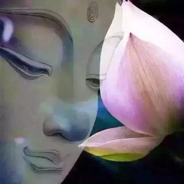 ��ǰ��һ�仨_����������˵�������ĸ���