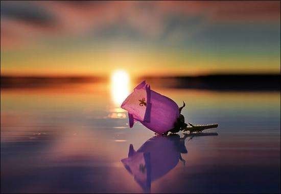 ��а������а�������˷������ش�仯