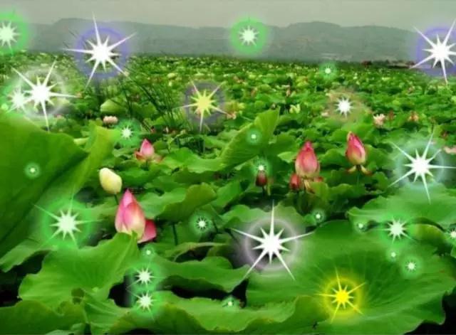 �����������������͵���_ǧ���ס��