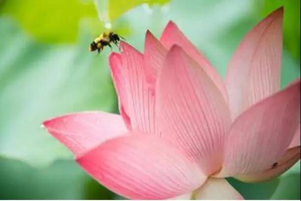 ����վ������徻�ĵ�����