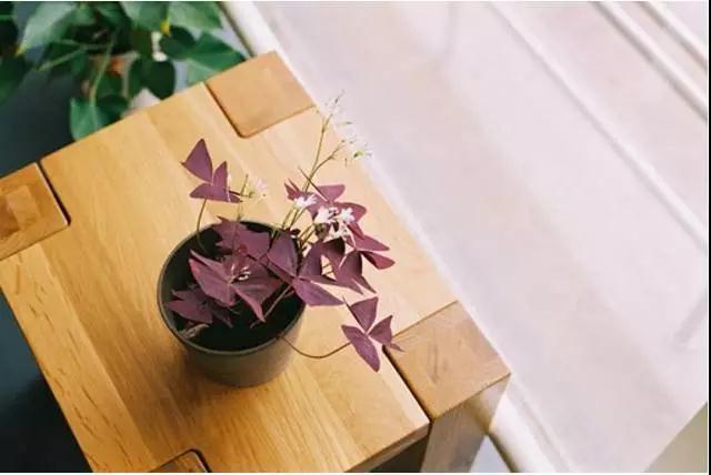 ����·�ϣ��Ѽ�ͥ��Ϊ���еĵ���