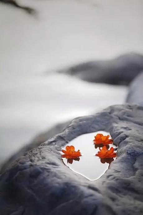 Ϊʲô�����˺ܴȱ����Լ�����������