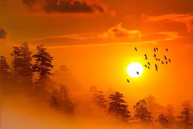 �����е������вƸ����Ϳ���᲻����