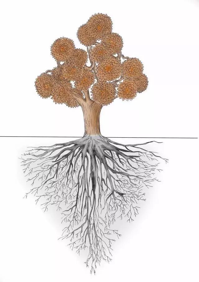 ��������վ���_�ܶ�һ�п�