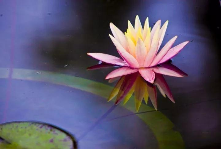 把修行融入到居家生活中 把修行融入到居家生活中