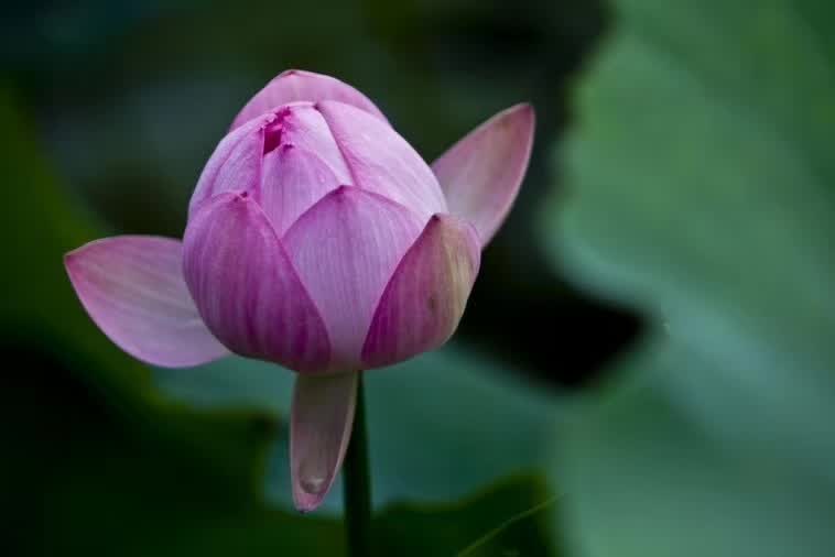 把修行融入到居家生活中 把修行融入到居家生活中