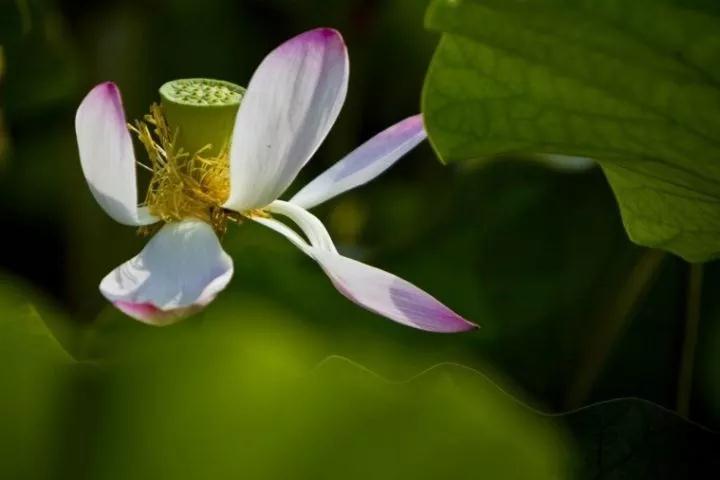 把修行融入到居家生活中 把修行融入到居家生活中