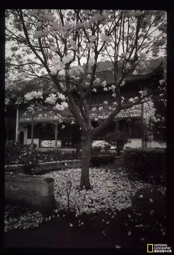 禅是一种生活方式_|_美国人比尔·波特的寻禅之旅 禅是一种生活方式_|_美国人比尔·波特的寻禅之旅