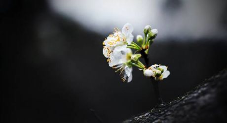 ����а������۸�����