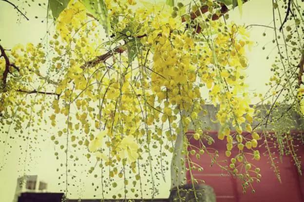 学佛可帮你弥补生命的遗憾 学佛可帮你弥补生命的遗憾