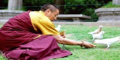 ���Ȱ���ǲ�ɱ�����ĸ�����