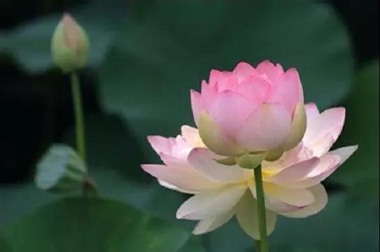 ӡ�ⷨʦ����ϰ����������Ҫ��