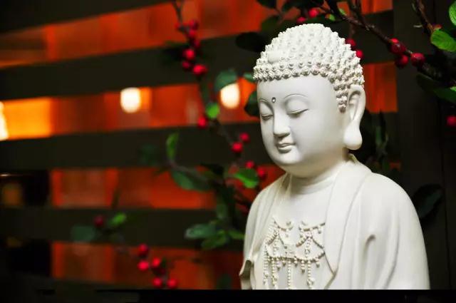 ʲô�������ĳ����ģ�