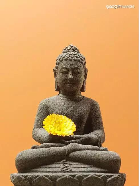 ʲô�������ĳ����ģ�