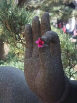 邪淫是苦海,苦海无边,回头是岸 邪淫是苦海,苦海无边,回头是岸