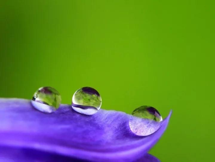 ��Ը��ʦ���û�����������������