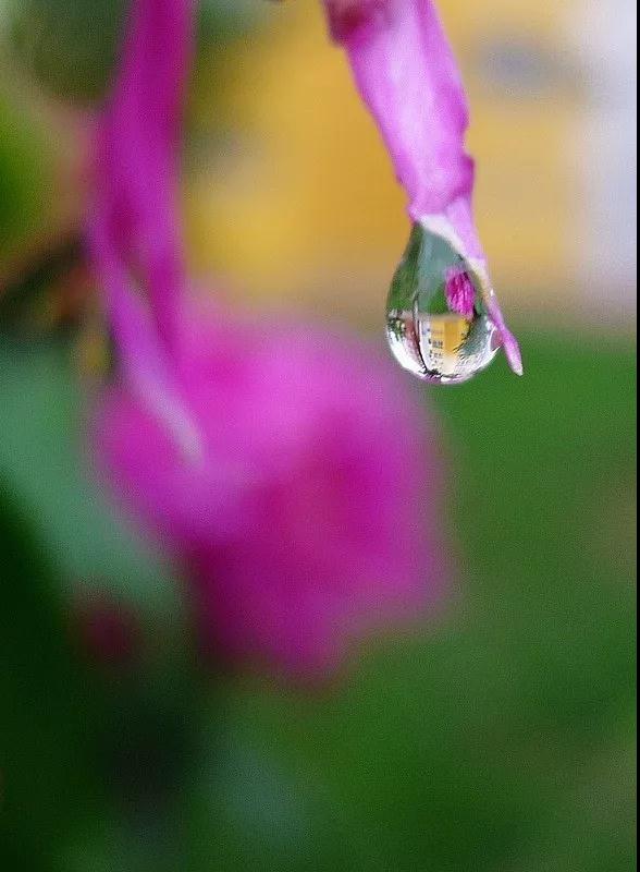 ��Ը��ʦ���û�����������������