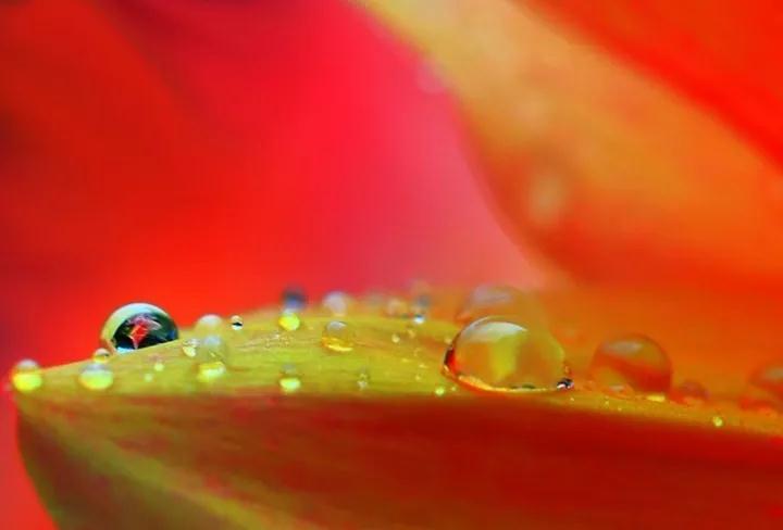 ��Ը��ʦ���û�����������������