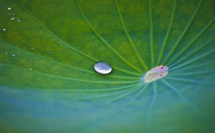 ��Ը��ʦ���û�����������������