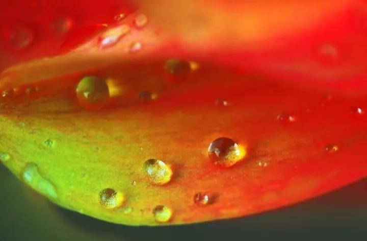 ��Ը��ʦ���û�����������������