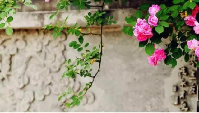 ���������У�����һ���������ľ��磬�����˰���