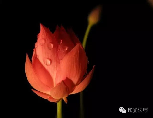 印光法师:念佛时妄念多怎么办? 印光法师:念佛时妄念多怎么办?