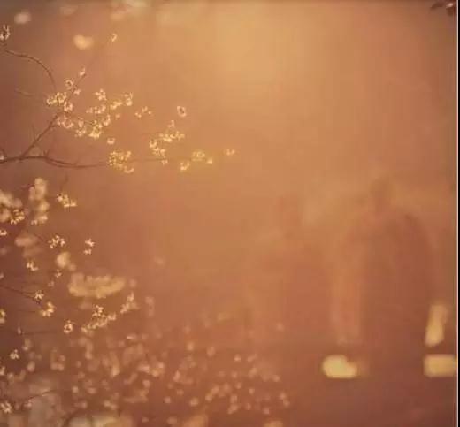 修行的重点是信心的进步,不是次数! 修行的重点是信心的进步,不是次数!