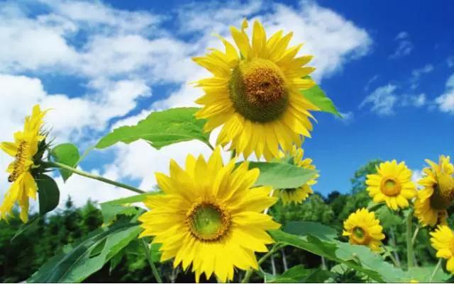 ���ˣ�ûʲô��ȥ�ˣ�Ҳûʲô~