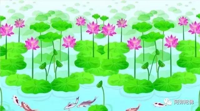 ���ճ���������α�������жϣ�