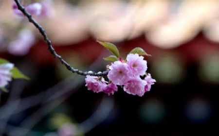 ��Ե������