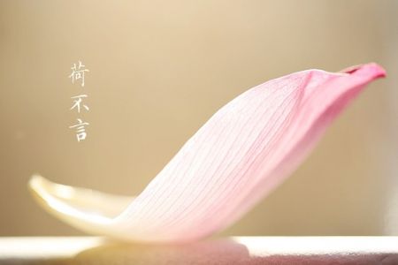 对过去认命,对未来积极 对过去认命,对未来积极