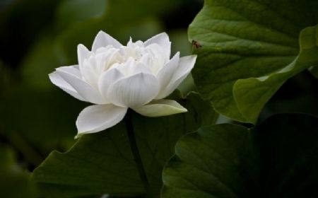 ����ÿһ��