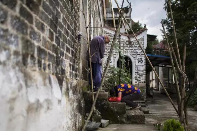 ��ɽ��Ĺ¶���ɮ��û�о����书��������һ������43��~