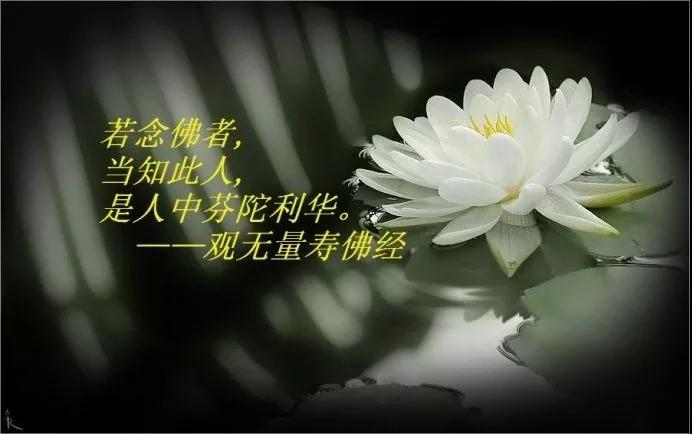 ����һ�꡶��վ��������ǿ�����һ������