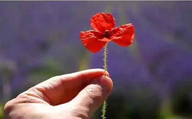 为什么对外人很慈悲,对家人做不到? 为什么对外人很慈悲,对家人做不到?