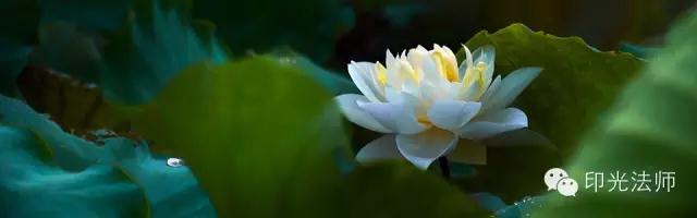 ӡ�ⷨʦ�����ʱ���ö���ϸ��